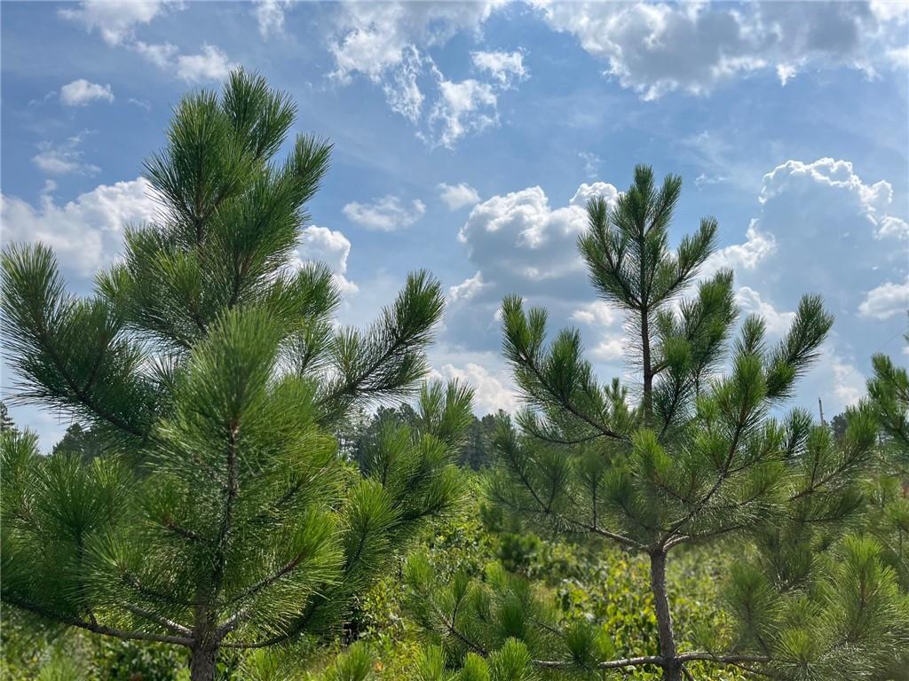 56010 County Hwy A Barnes WI 54873 1576085 image1