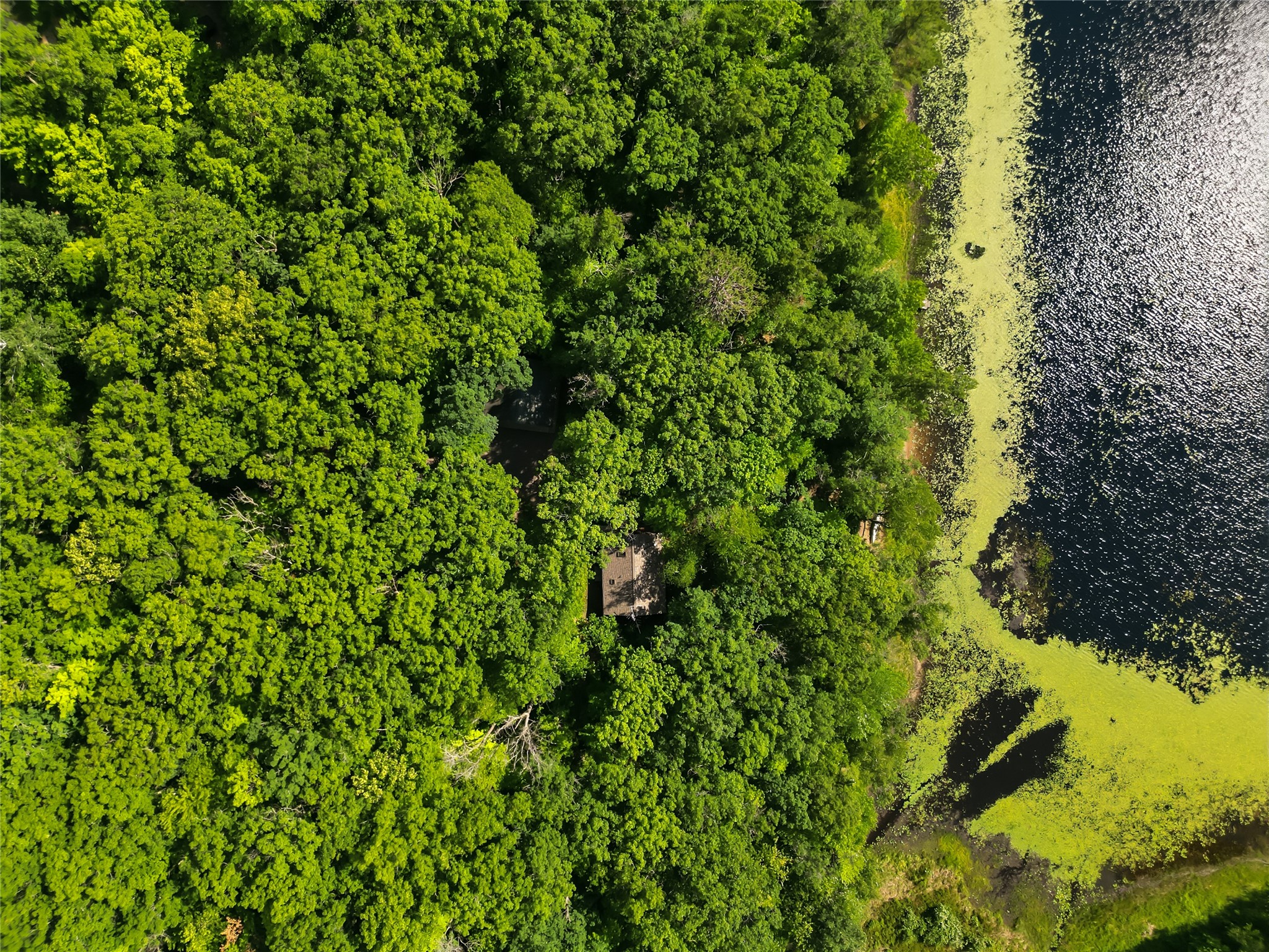 5647 N Ham Holly Drive Stone Lake WI 54876 - Lower Holly 1603031 image39