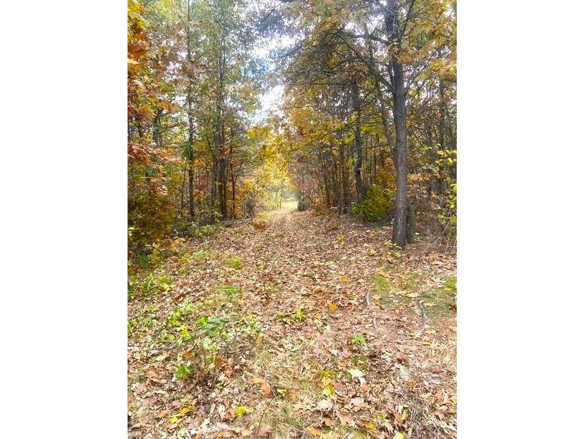 58.87 acres Nash Road Black River Falls WI 54615 1577915 image1