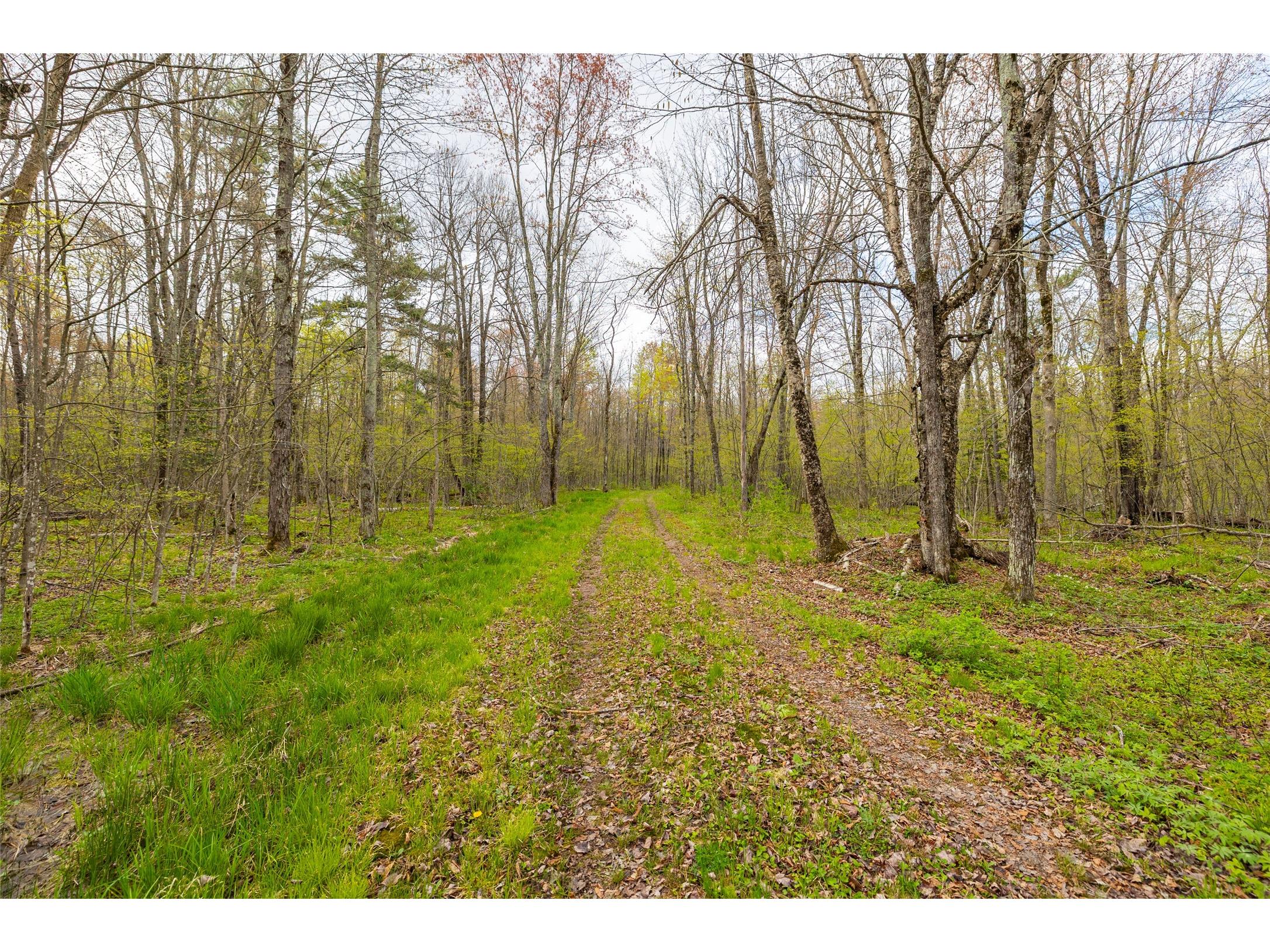 5807 Strom Road Winter WI 54896 - Winter Lake 1601343 image12