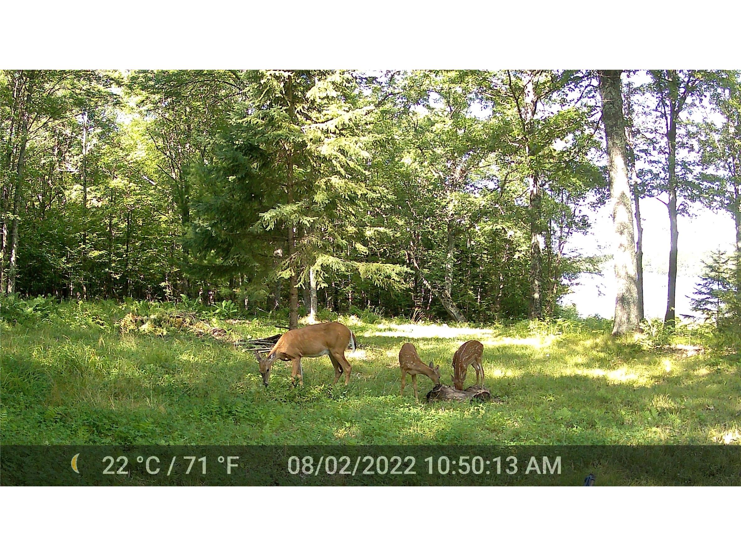 5807 Strom Road Winter WI 54896 - Winter Lake 1601343 image13