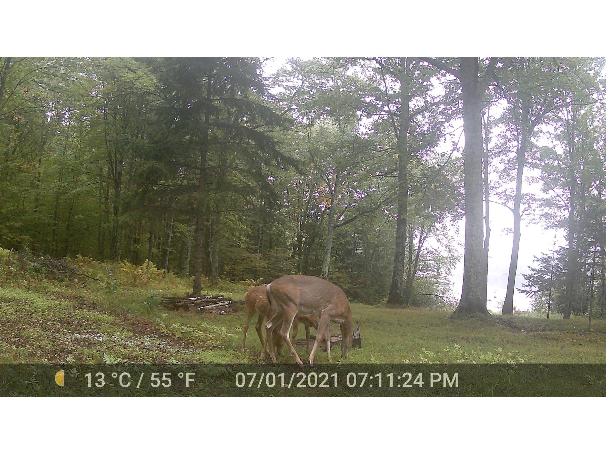 5807 Strom Road Winter WI 54896 - Winter Lake 1601343 image17