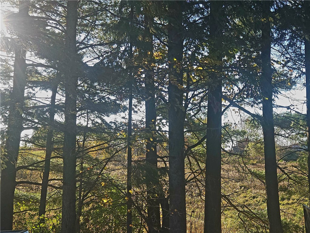 584 21 1/2 Avenue Cumberland WI 54829 1596165 image36