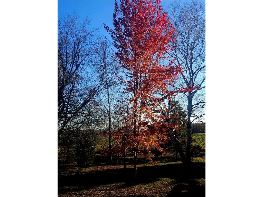 584 21 1/2 Avenue Cumberland WI 54829 1596165 image37