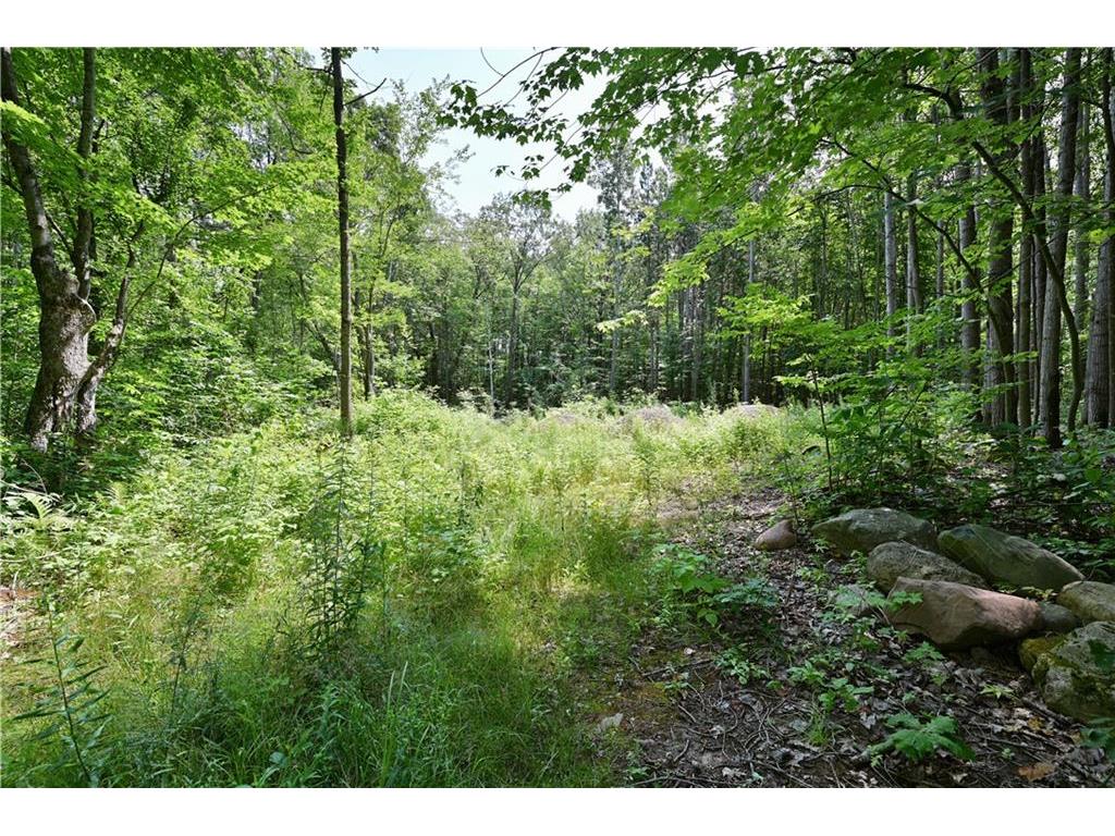 5856N Ranzel Road Stone Lake WI 54876 1584185 image1