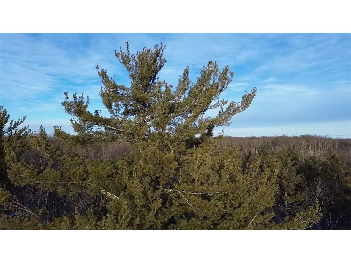 5926 Cr-W Winter WI 54896 1588296 image1