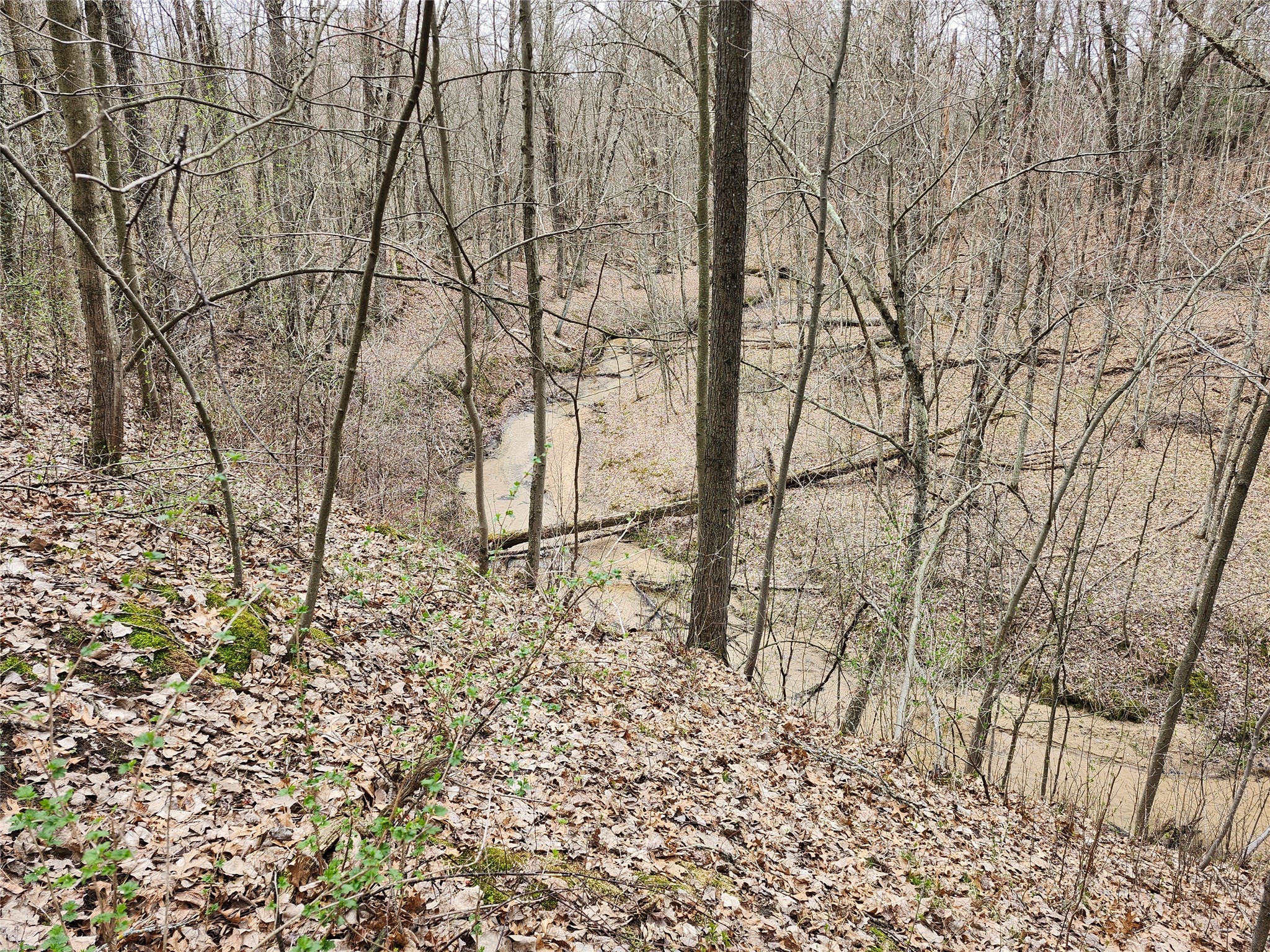 5940 Tower Drive Eau Claire WI 54703 - Five Mile Creek 1598078 image20