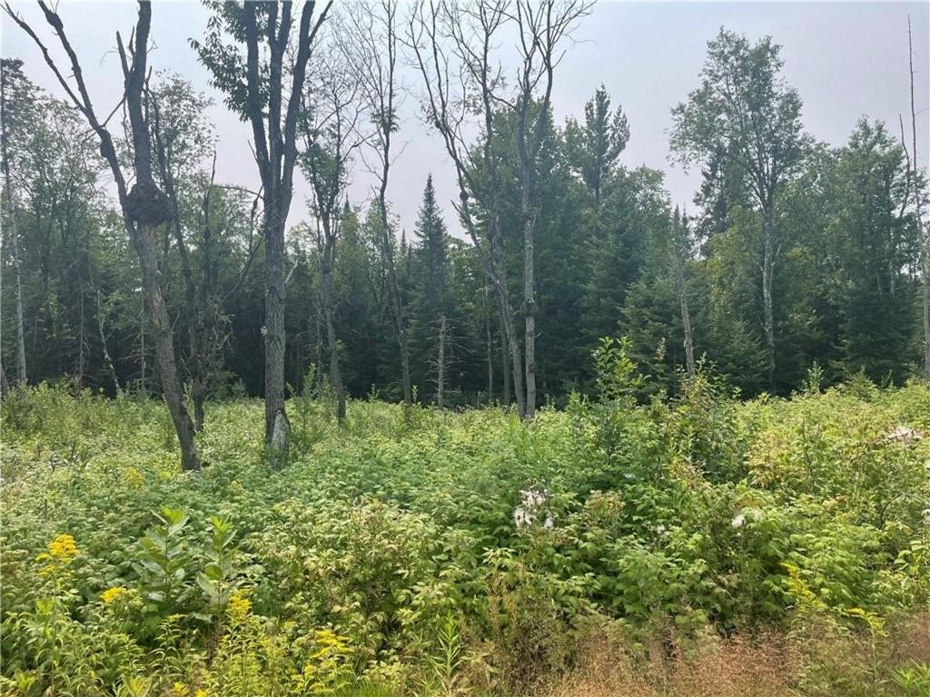 6+/- Acres On Old 13 Road Butternut WI 54514 - Smith Creek 1587429 image1