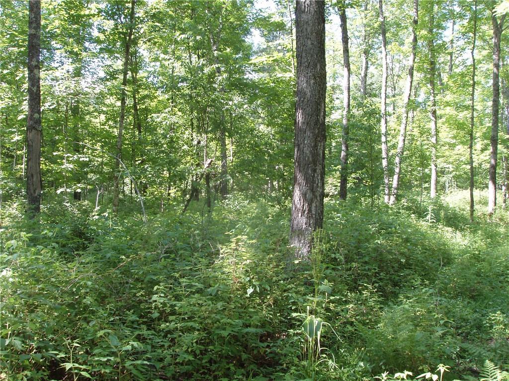 60+/- A On Mackenberg Road Glidden WI 54527 1575182 image1