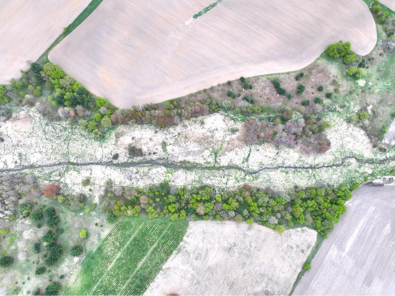 60 acres S. Pole Grove Rd Hixton WI 54635 1600886 image11