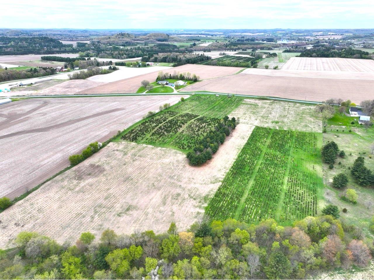 60 acres S. Pole Grove Rd Hixton WI 54635 1600886 image12