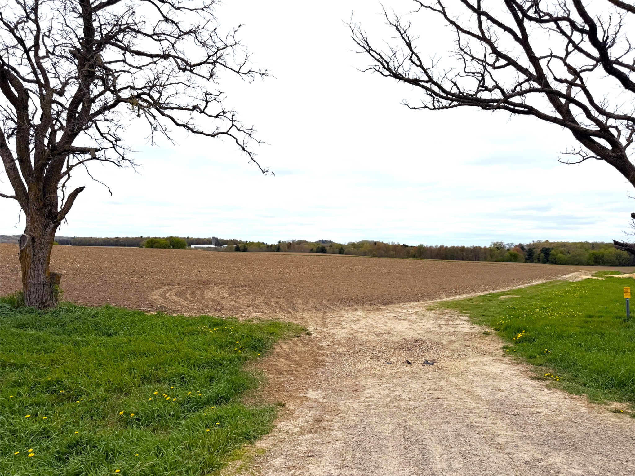 60 acres S. Pole Grove Rd Hixton WI 54635 1600886 image2