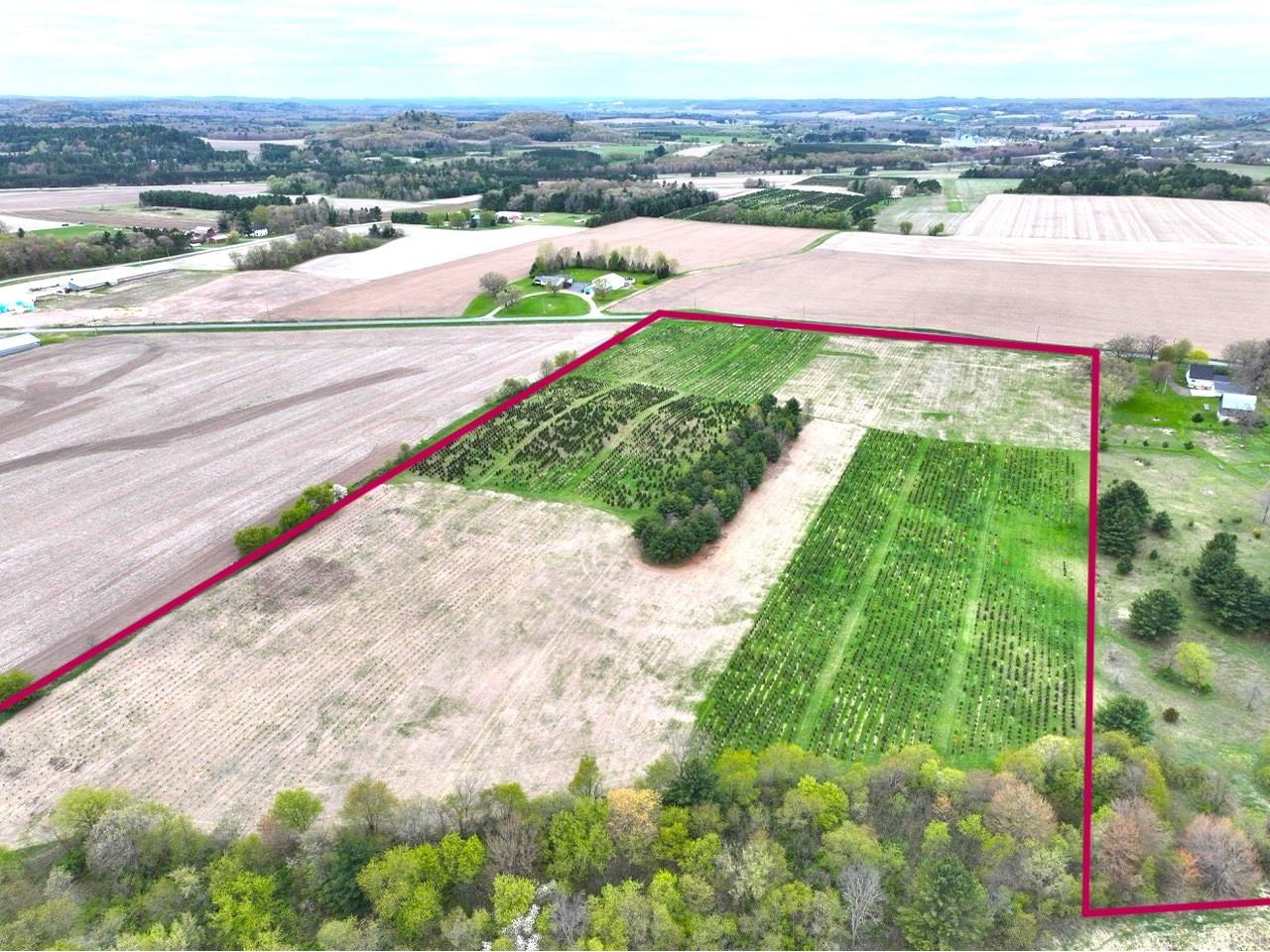 60 acres S. Pole Grove Rd Hixton WI 54635 1600886 image4