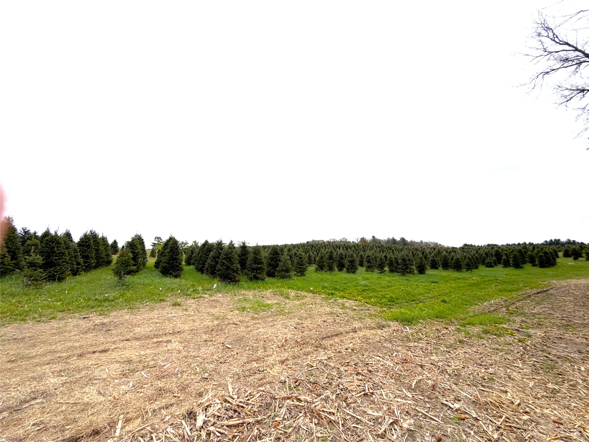 60 acres S. Pole Grove Rd Hixton WI 54635 1600886 image5
