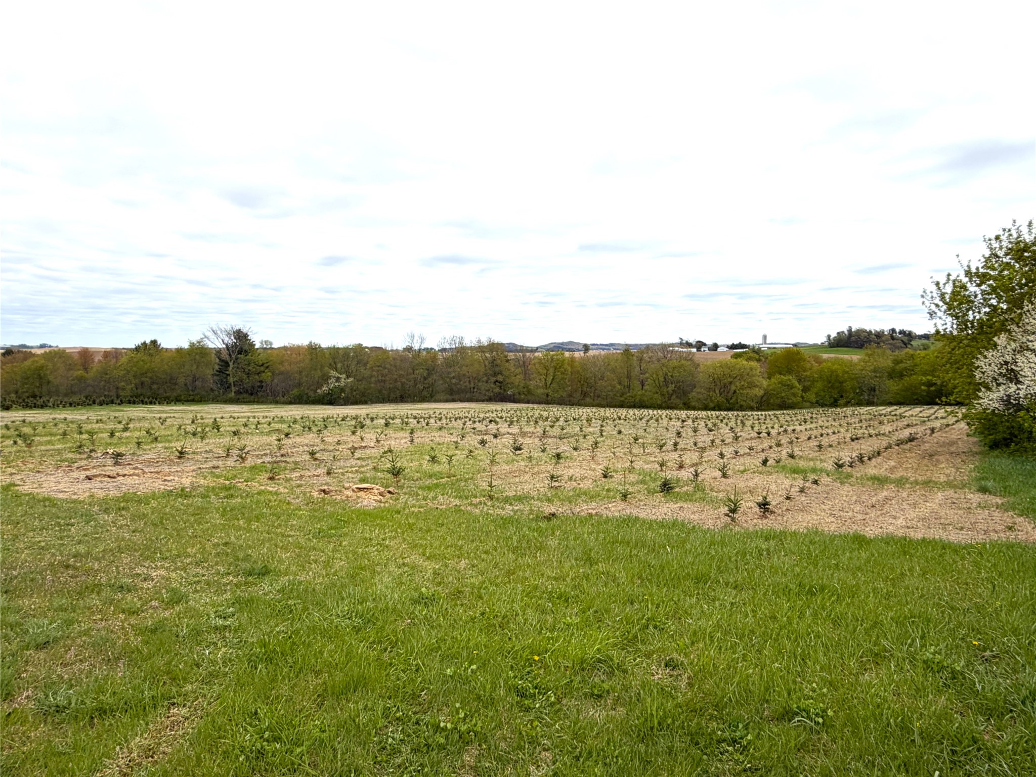 60 acres S. Pole Grove Rd Hixton WI 54635 1600886 image6