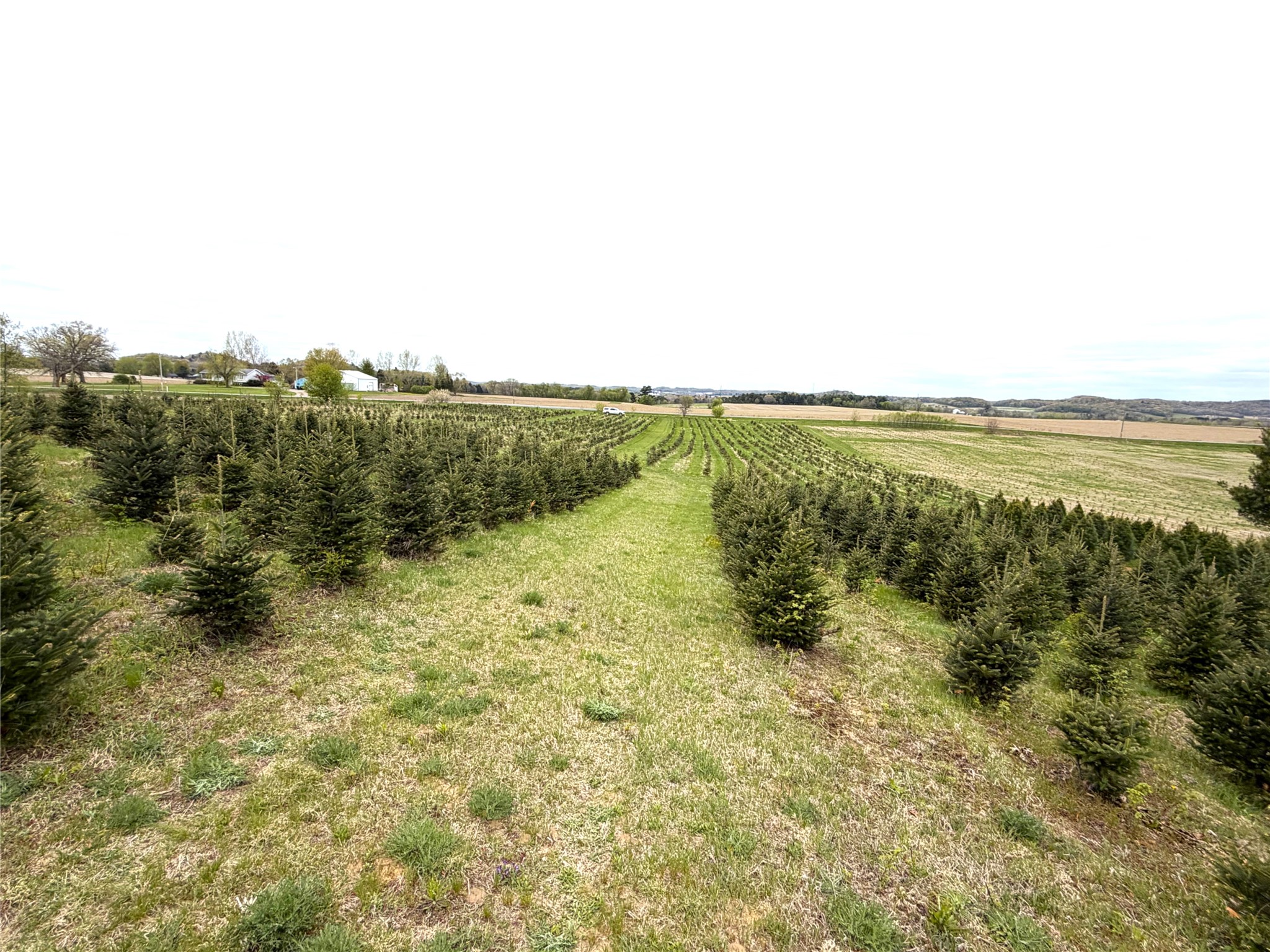 60 acres S. Pole Grove Rd Hixton WI 54635 1600886 image8