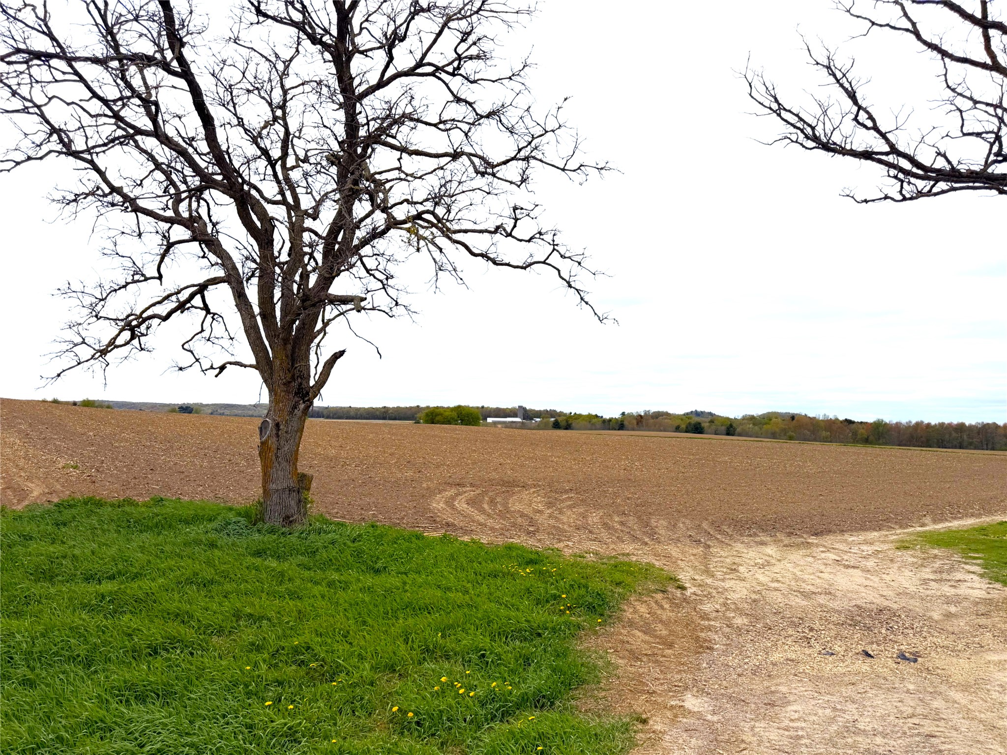 60 acres S. Pole Grove Rd Hixton WI 54635 1600886 image9