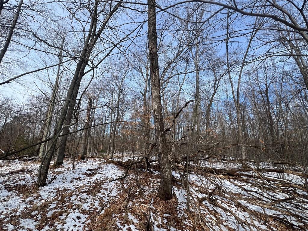 6001 County Road X Webster WI 54893 1579831 image1