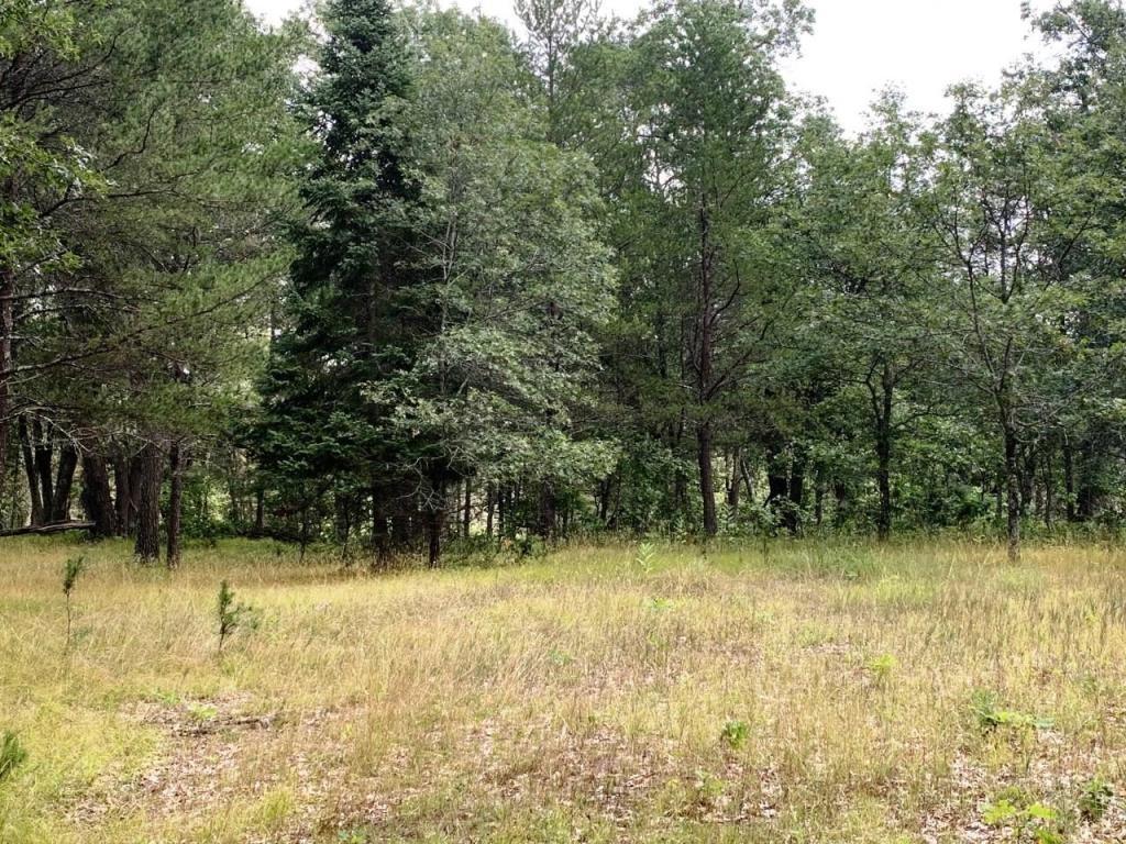 6031 Cash Way Danbury WI 54830 1572241 image1