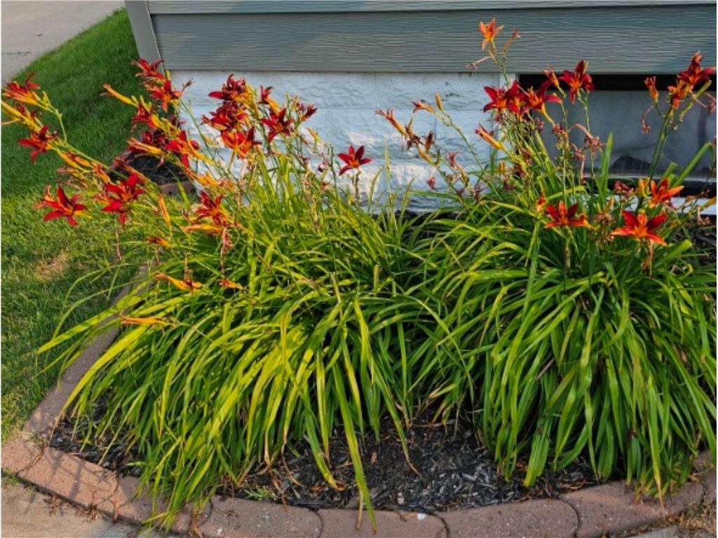 612 W Eau Claire Street Rice Lake WI 54868 1595529 image26