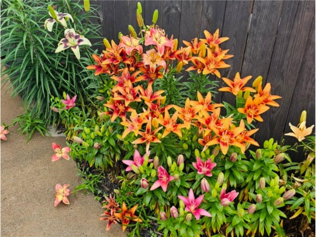 612 W Eau Claire Street Rice Lake WI 54868 1595529 image27