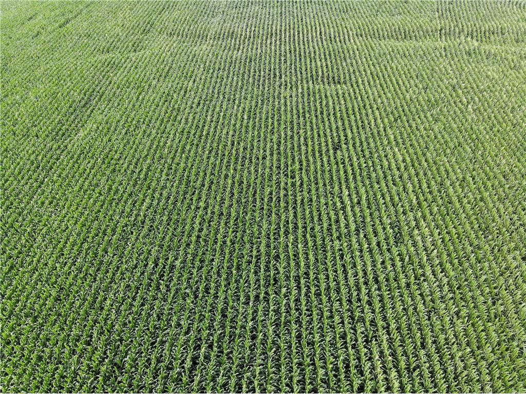 6186 County Highway H Stanley WI 54768 1589949 image20