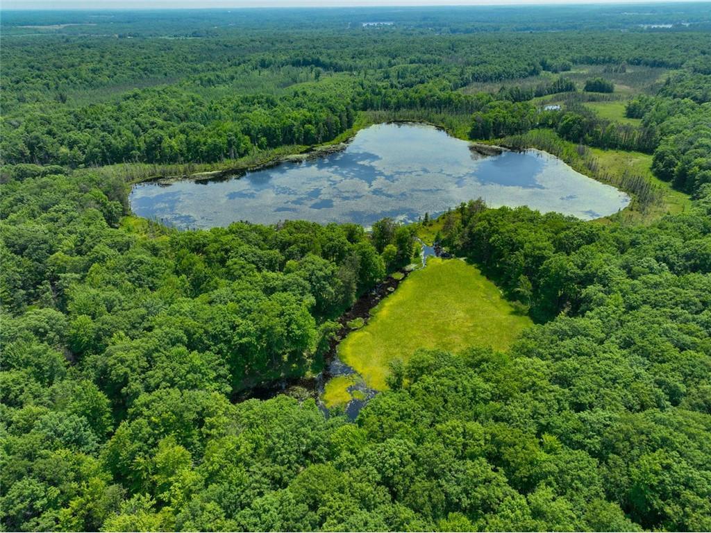 62.59 Acres 290th Avenue Holcombe WI 54745 - POND 1574212 image1