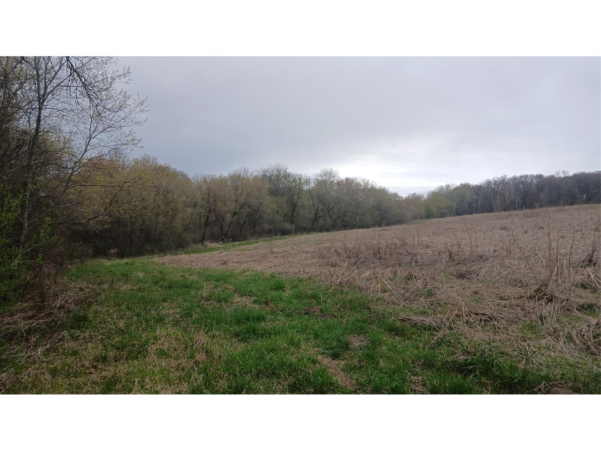 62 Acres 82nd St Bloomer WI 54724 1600448 image10