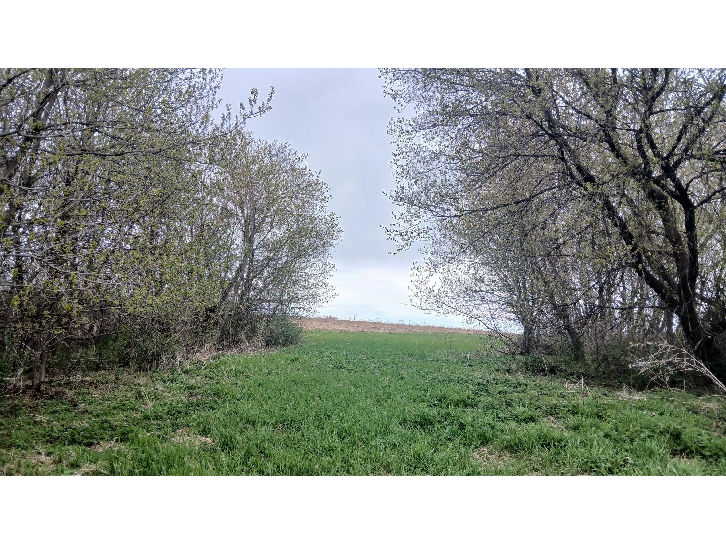 62 Acres 82nd St Bloomer WI 54724 1600448 image12