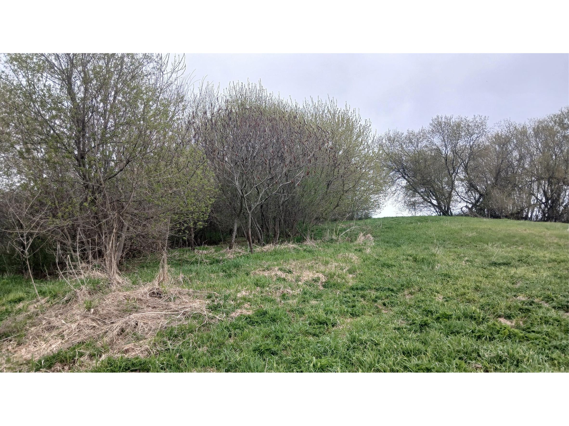 62 Acres 82nd St Bloomer WI 54724 1600448 image15