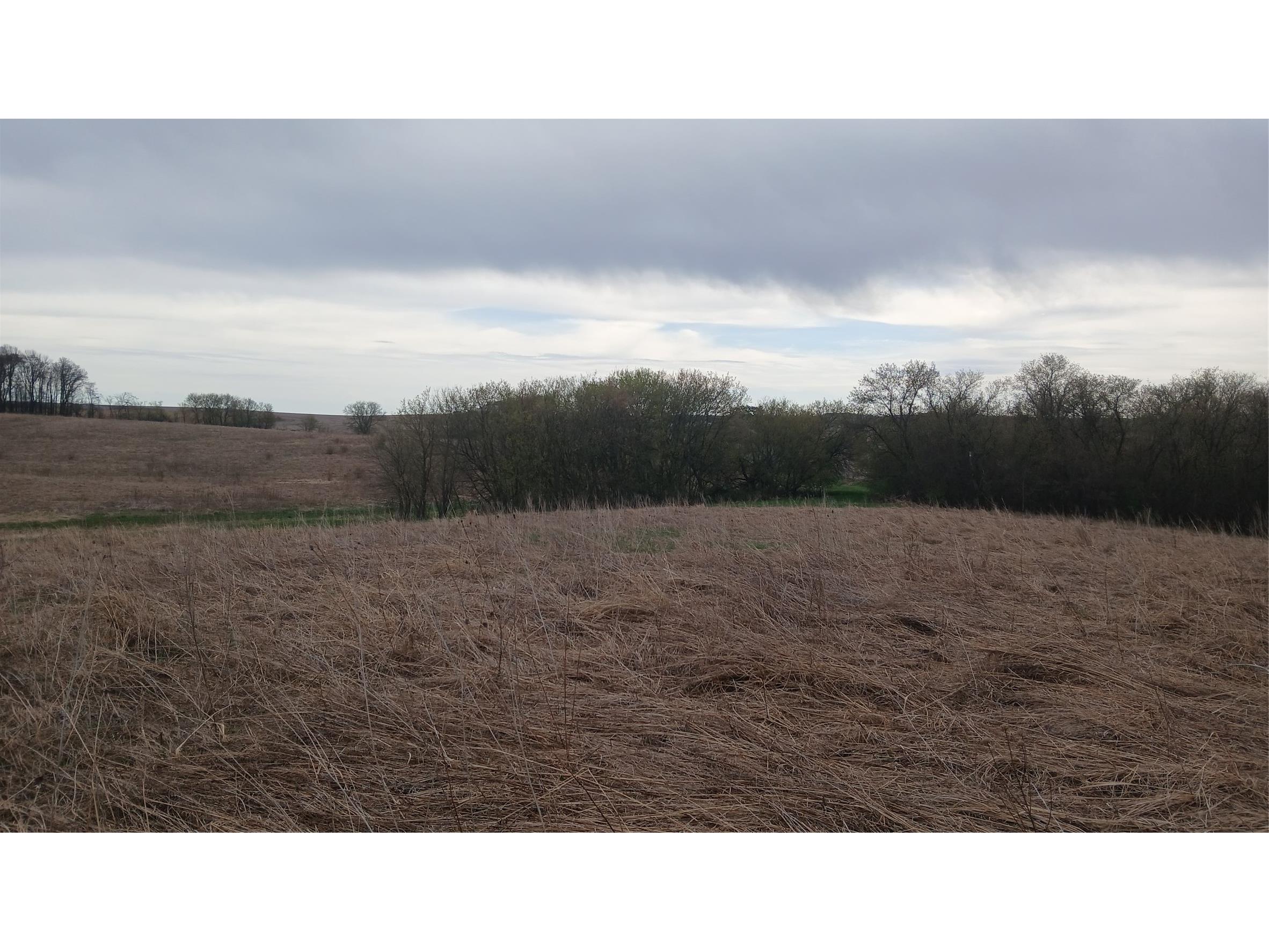 62 Acres 82nd St Bloomer WI 54724 1600448 image3