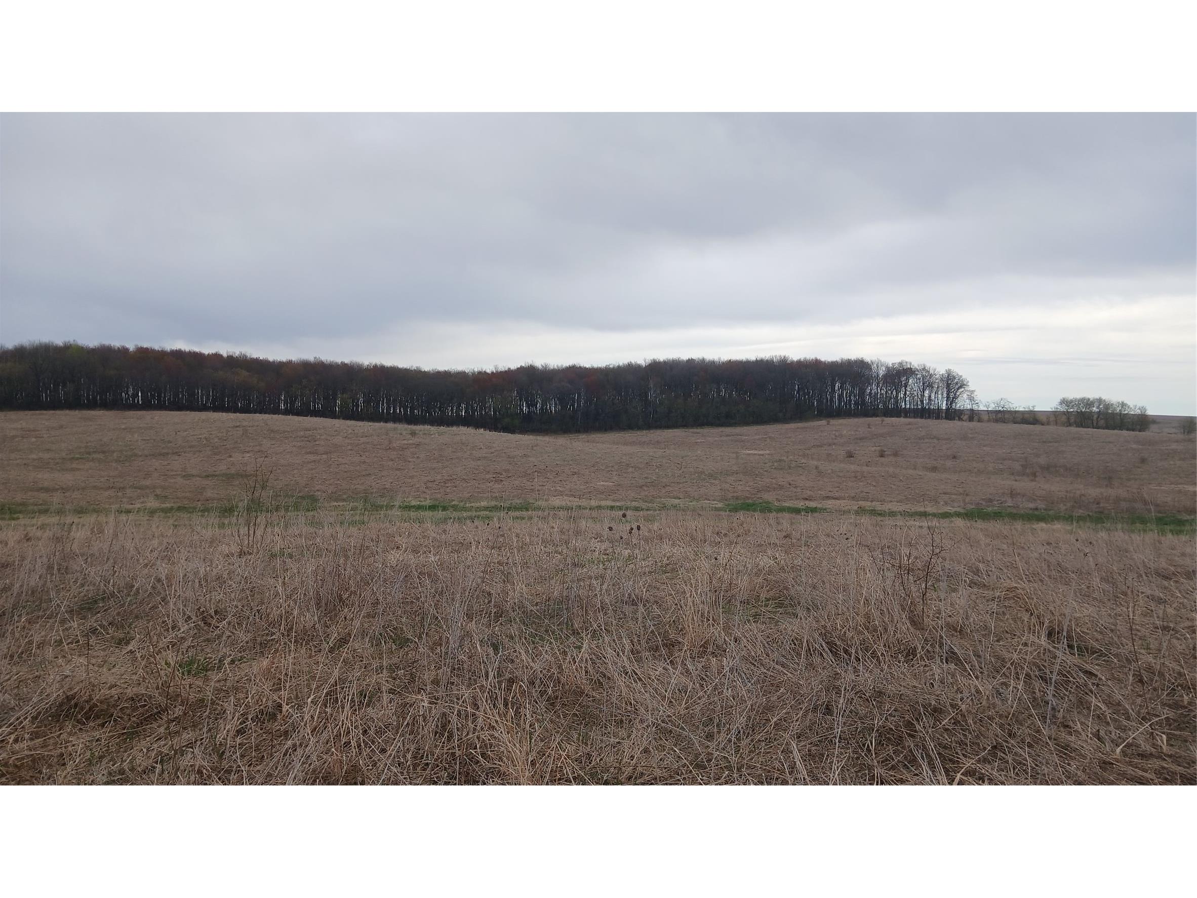 62 Acres 82nd St Bloomer WI 54724 1600448 image4