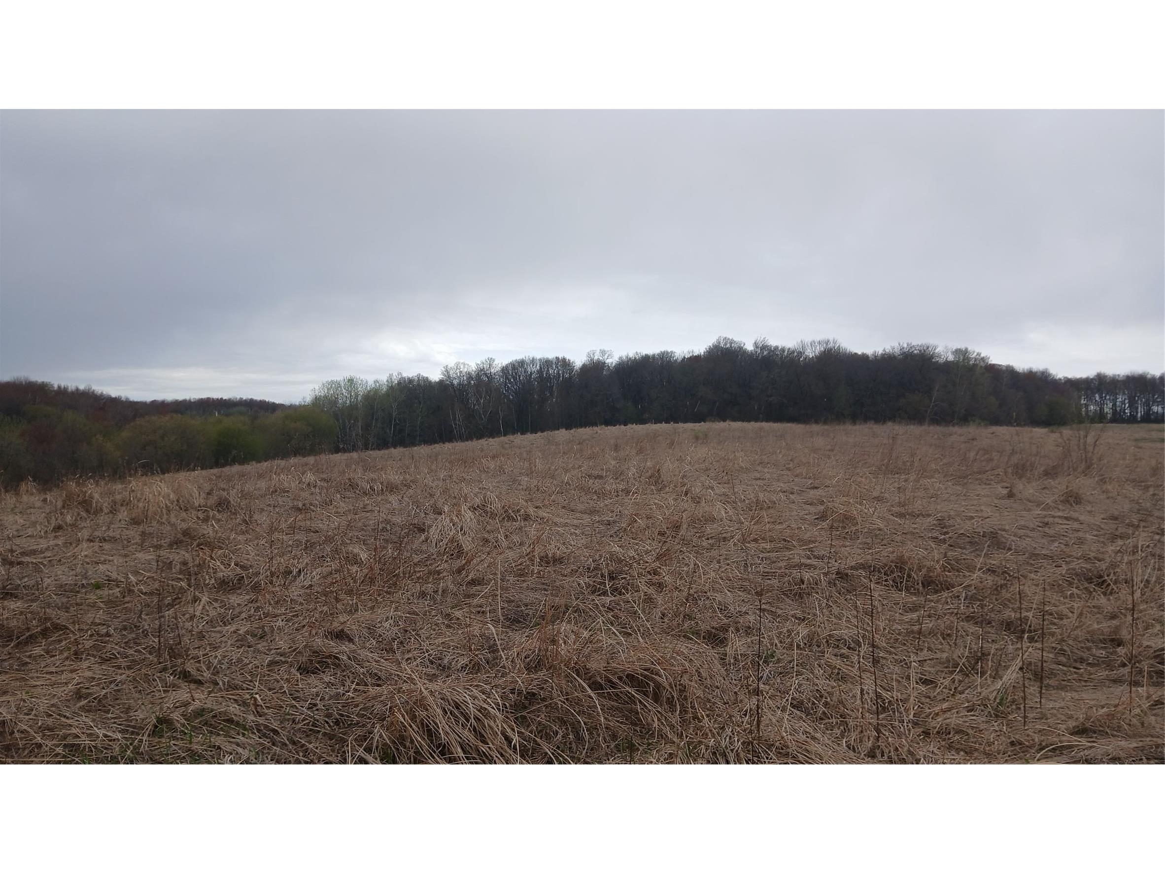 62 Acres 82nd St Bloomer WI 54724 1600448 image6