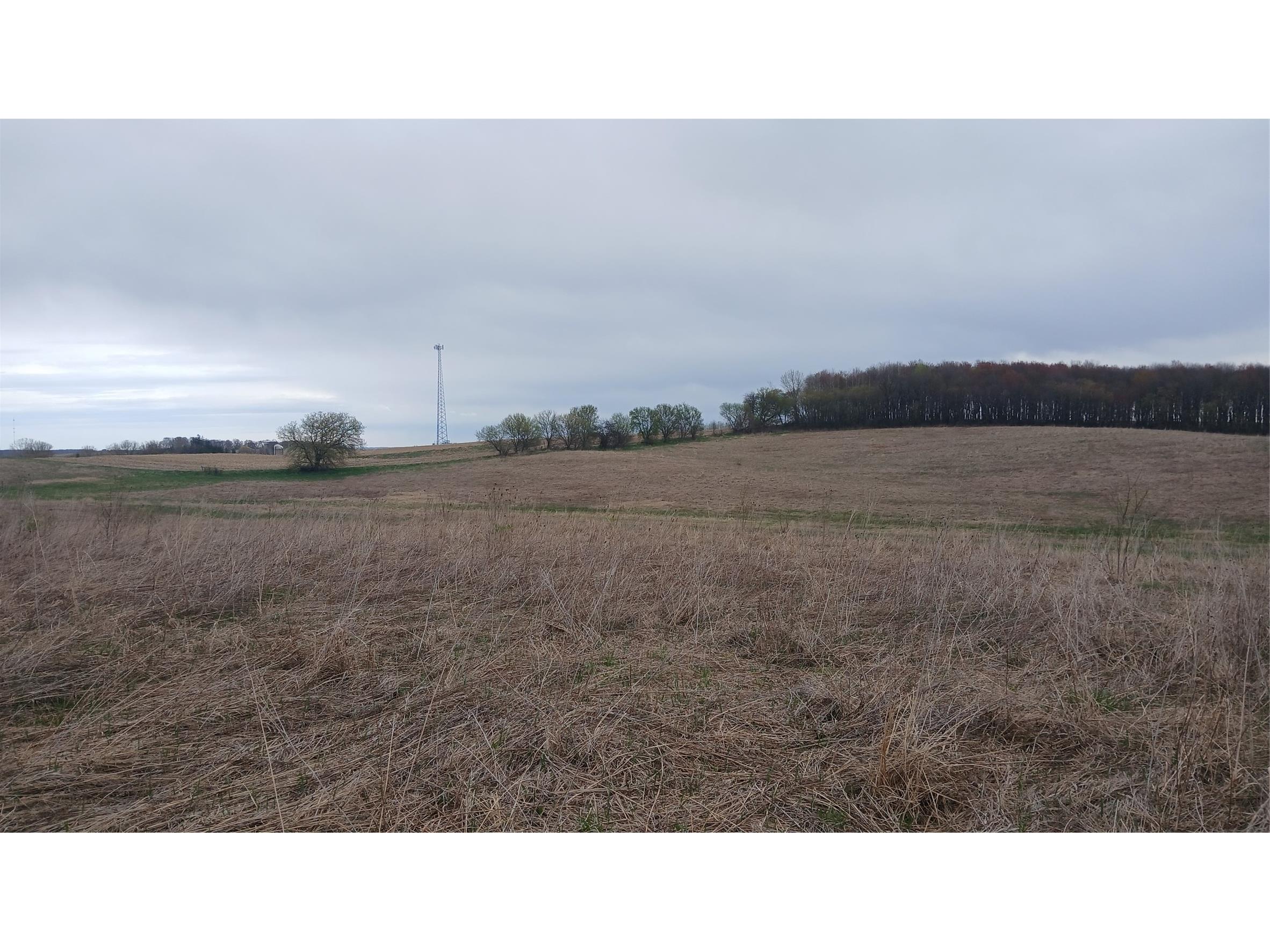 62 Acres 82nd St Bloomer WI 54724 1600448 image8