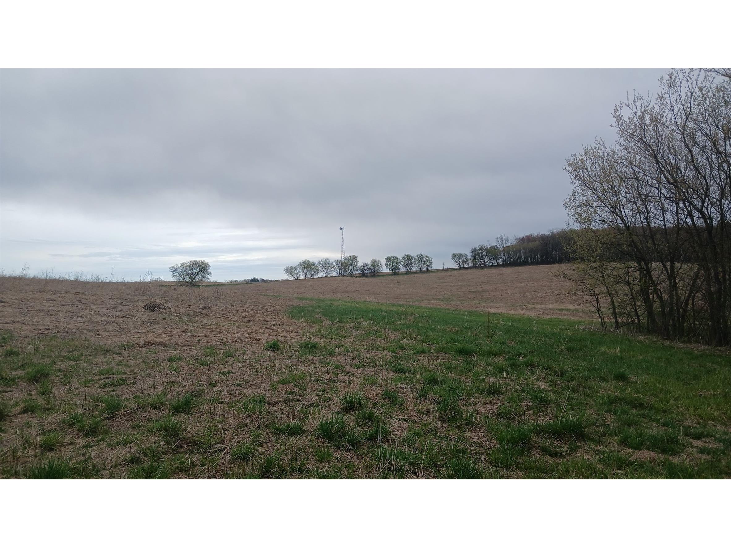 62 Acres 82nd St Bloomer WI 54724 1600448 image9