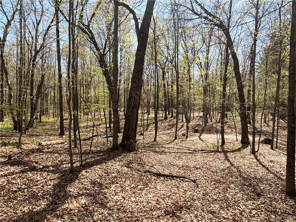 6273 Lamphere Road Siren WI 54872 1591373 image35