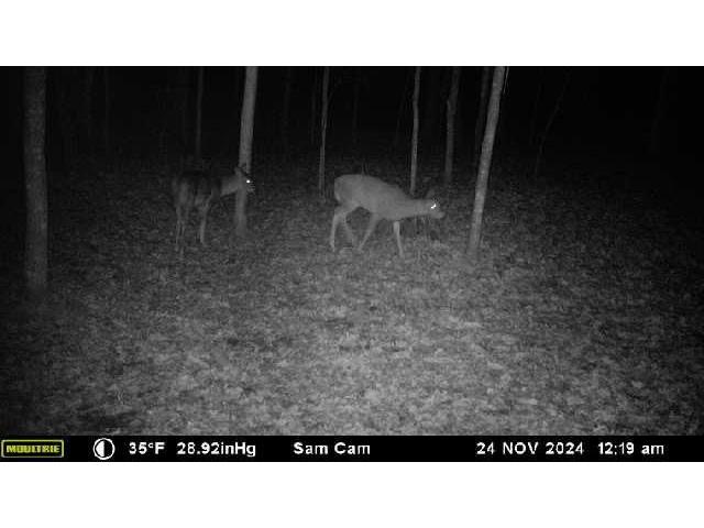 6273 Lamphere Road Siren WI 54872 1591373 image44