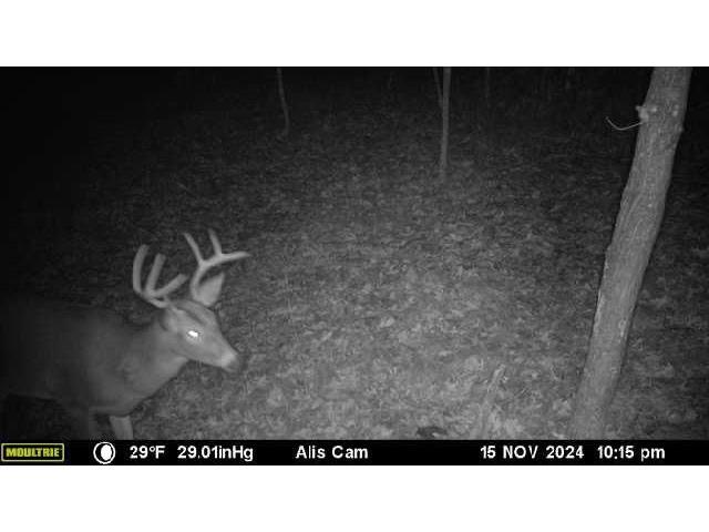 6273 Lamphere Road Siren WI 54872 1591373 image45