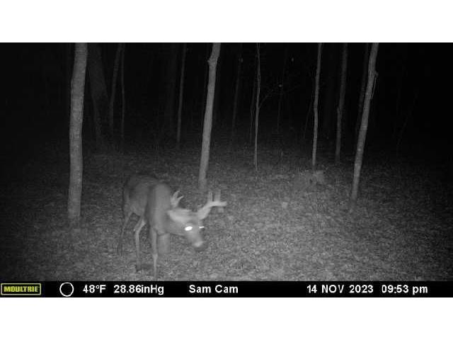 6273 Lamphere Road Siren WI 54872 1591373 image46