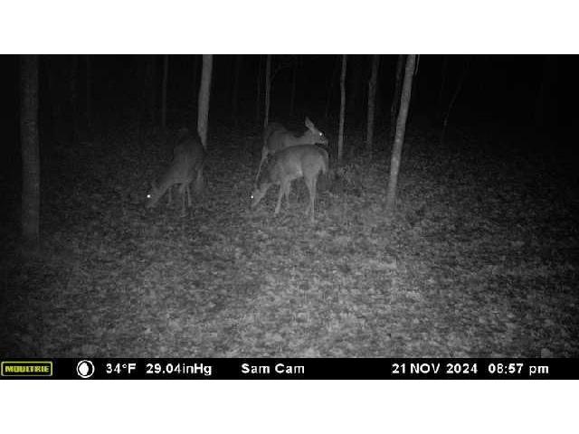 6273 Lamphere Road Siren WI 54872 1591373 image47