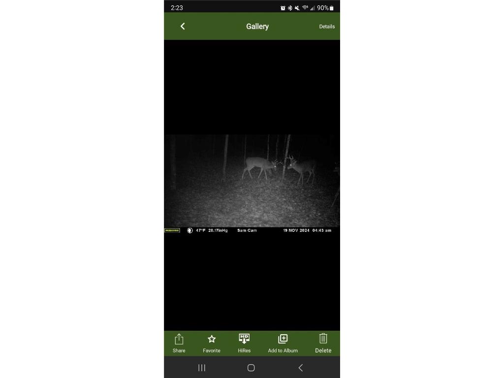 6273 Lamphere Road Siren WI 54872 1591373 image48