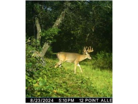 633 Lake Road N Melrose WI 54642 1588844 image1