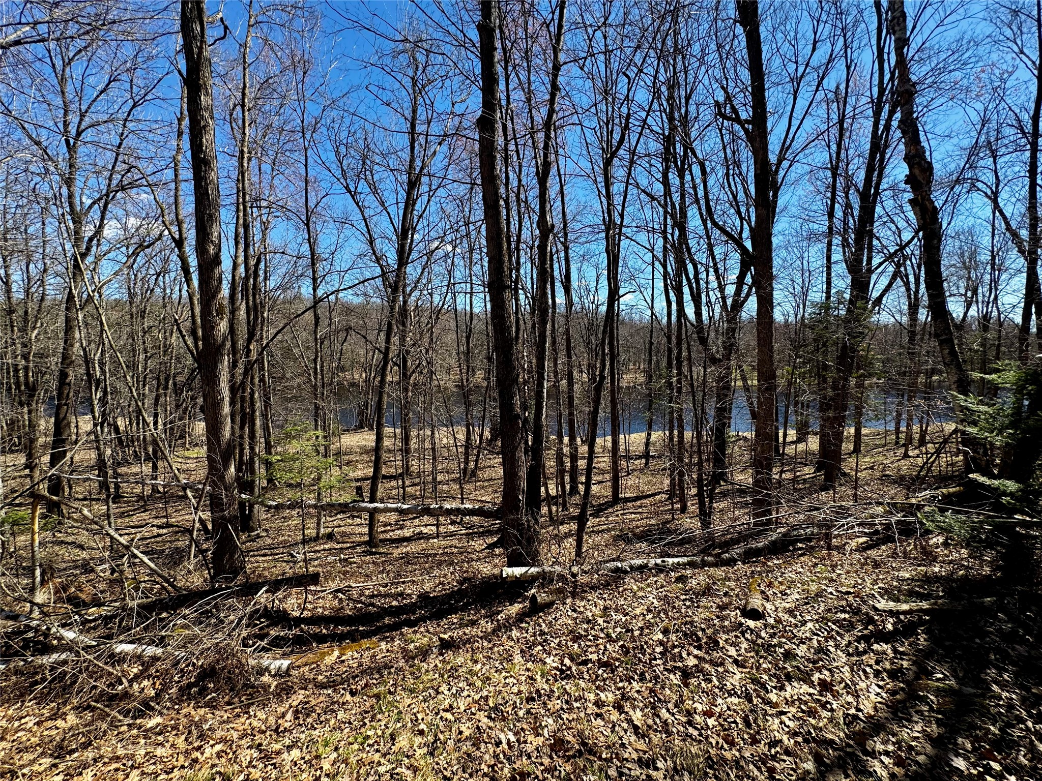 640 N Trcka Lane Exeland WI 54835 - Chippewa 1600173 image42