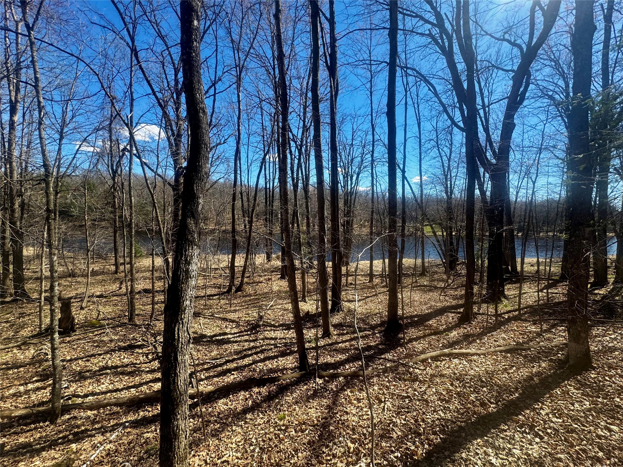 640 N Trcka Lane Exeland WI 54835 - Chippewa 1600173 image43