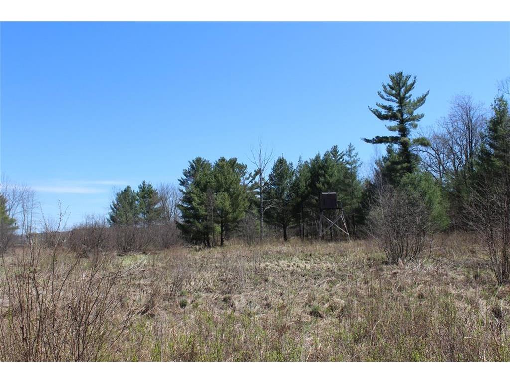 6471 Granton Road, Neillsville, WI 54456 MLS 1551795 Edina Realty