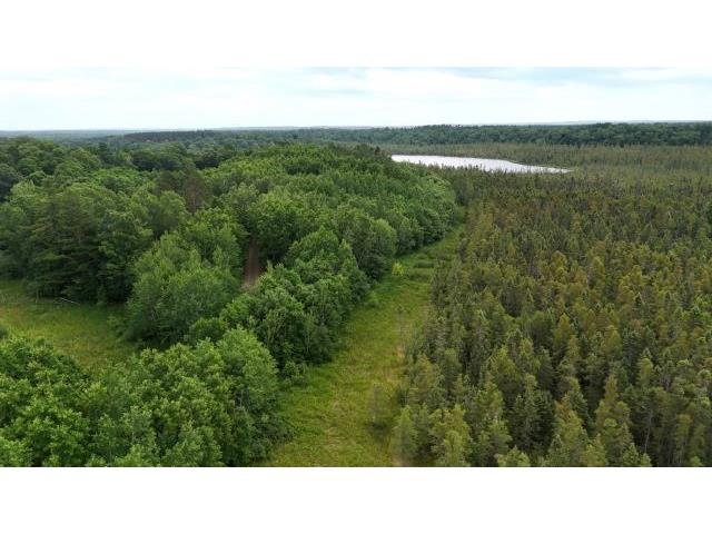 6565 Lynch Bridge Road Siren WI 54872 - Put Lake 1602882 image23