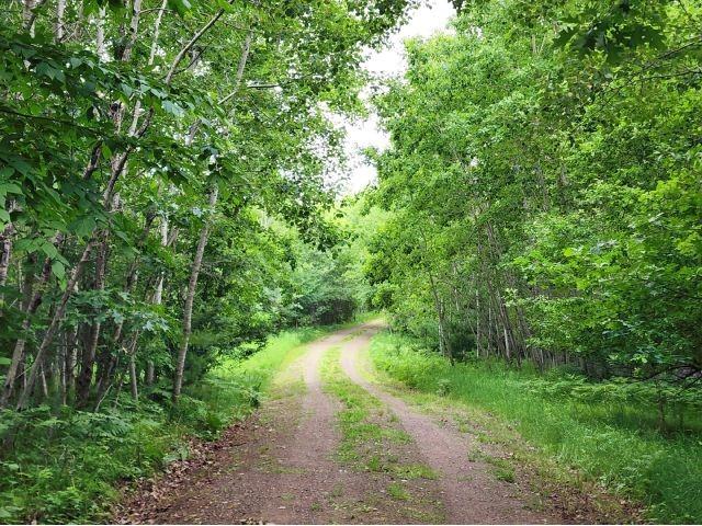6565 Lynch Bridge Road Siren WI 54872 - Put Lake 1602882 image30