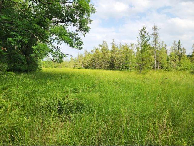 6565 Lynch Bridge Road Siren WI 54872 - Put Lake 1602882 image31