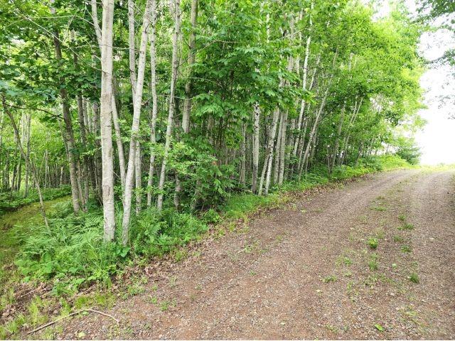 6565 Lynch Bridge Road Siren WI 54872 - Put Lake 1602882 image57