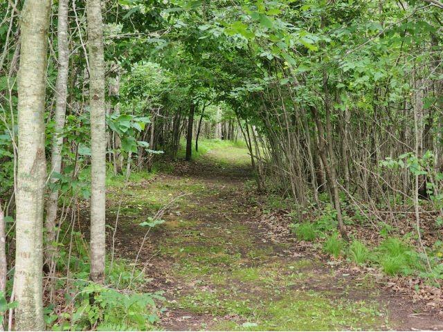 6565 Lynch Bridge Road Siren WI 54872 - Put Lake 1602882 image6